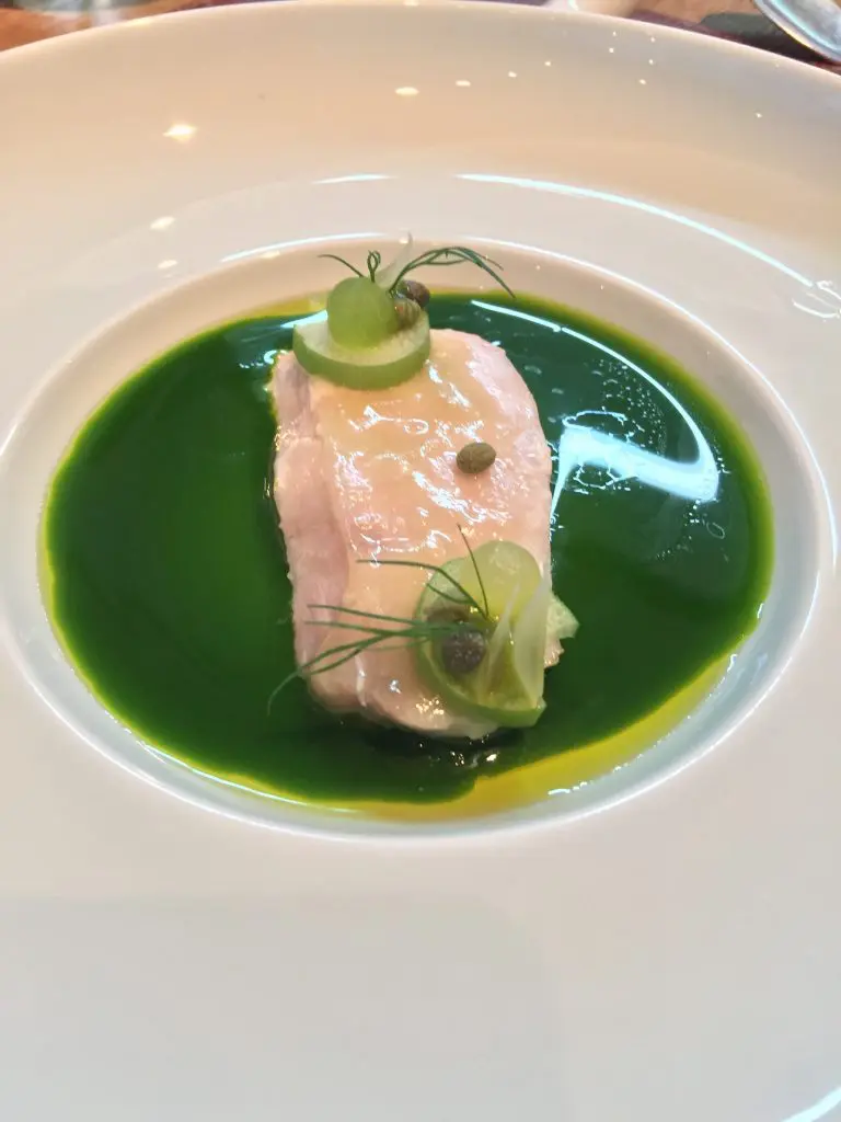 Hamachi, jade sauce, jalapeño