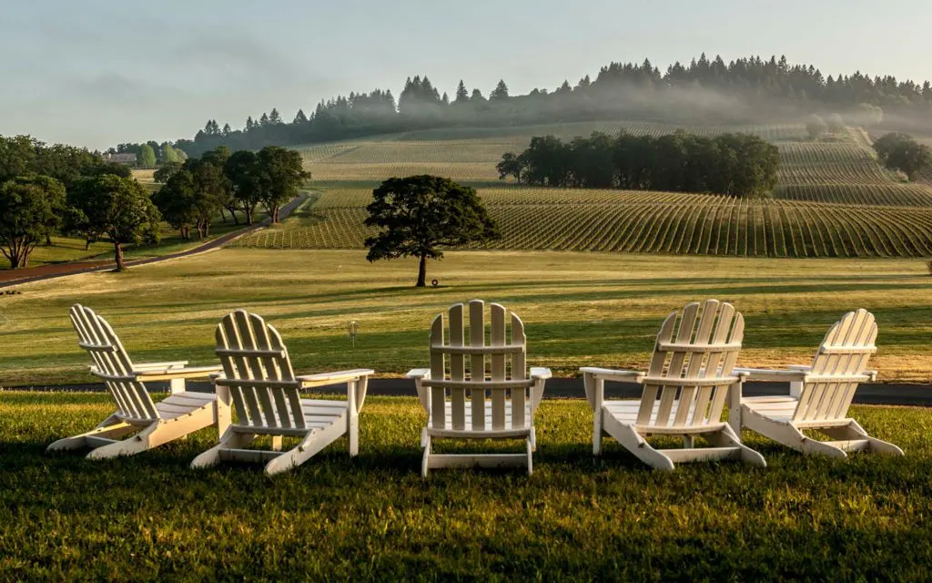 This Reserve Chardonnay From Oregon Deserves Space on Your Dinner Table