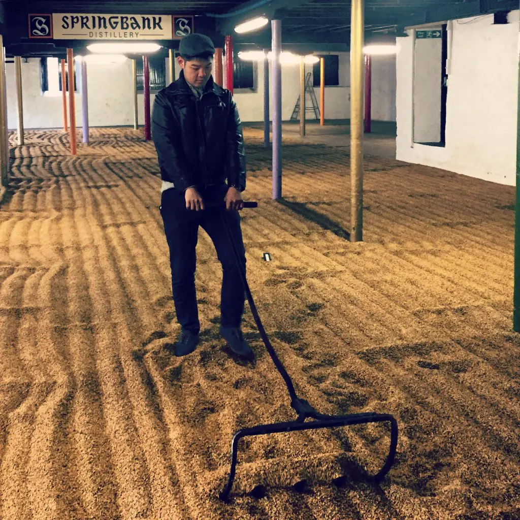 Qi rotating the barley on the malting floor at Springbank. (Photo by Bobby Heugel)