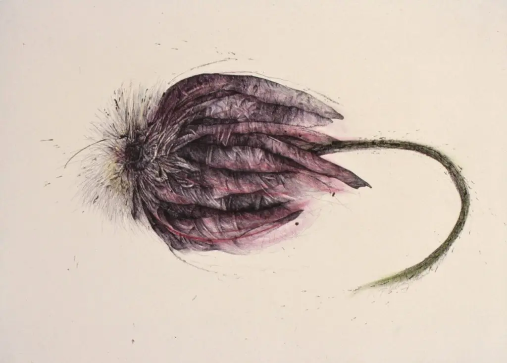 Penny Cerling's "Gerber Daisy"