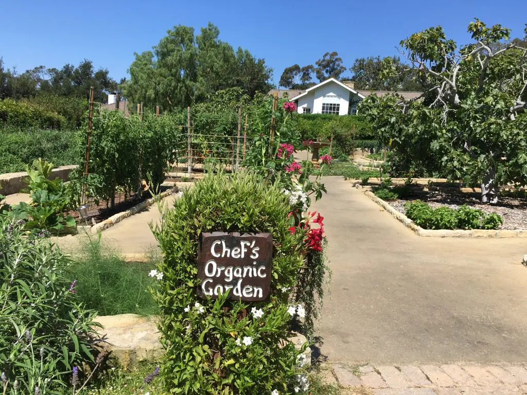 Chefs' garden at the ranch