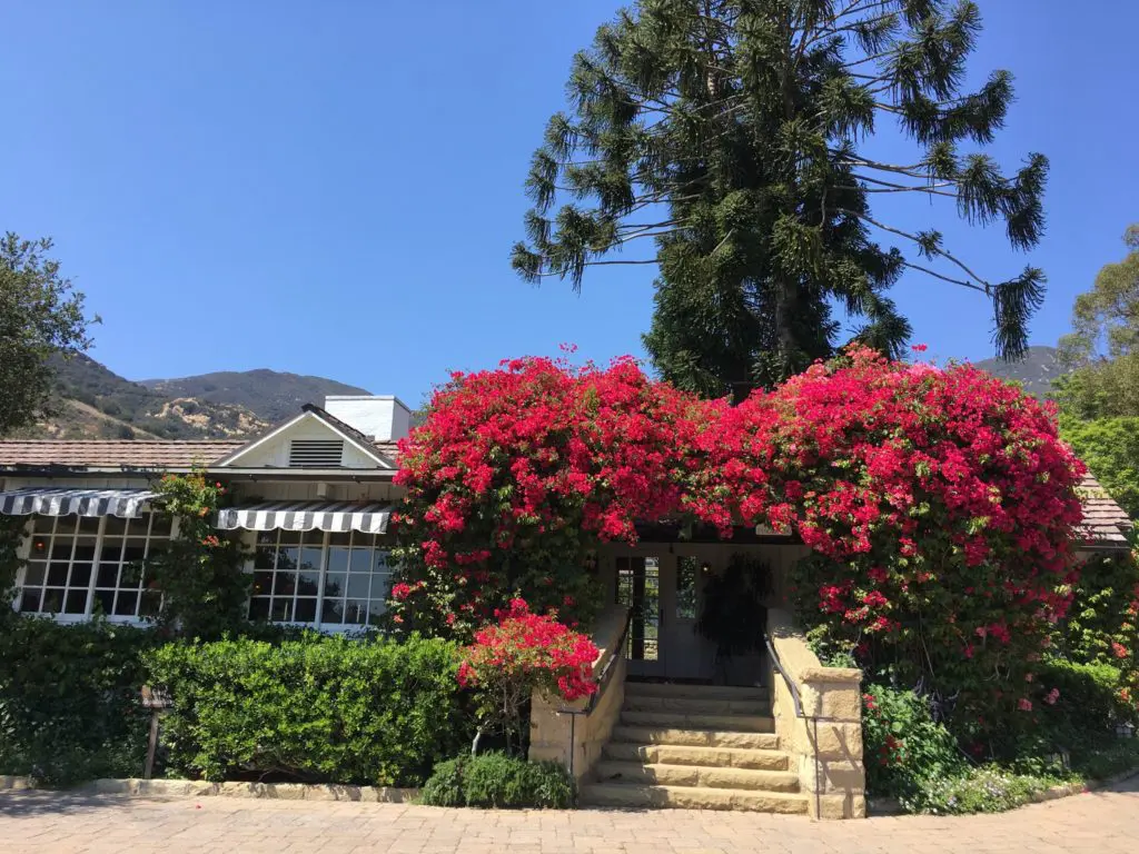 A DJ’s Guide to Santa Barbara: The Unexpected (and Oft Hidden) Cool Spots of the Cali Wonderland
