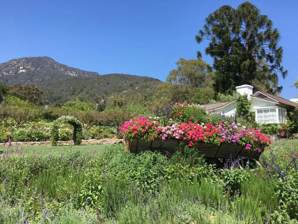 Lush grounds of San Ysidro Ranch