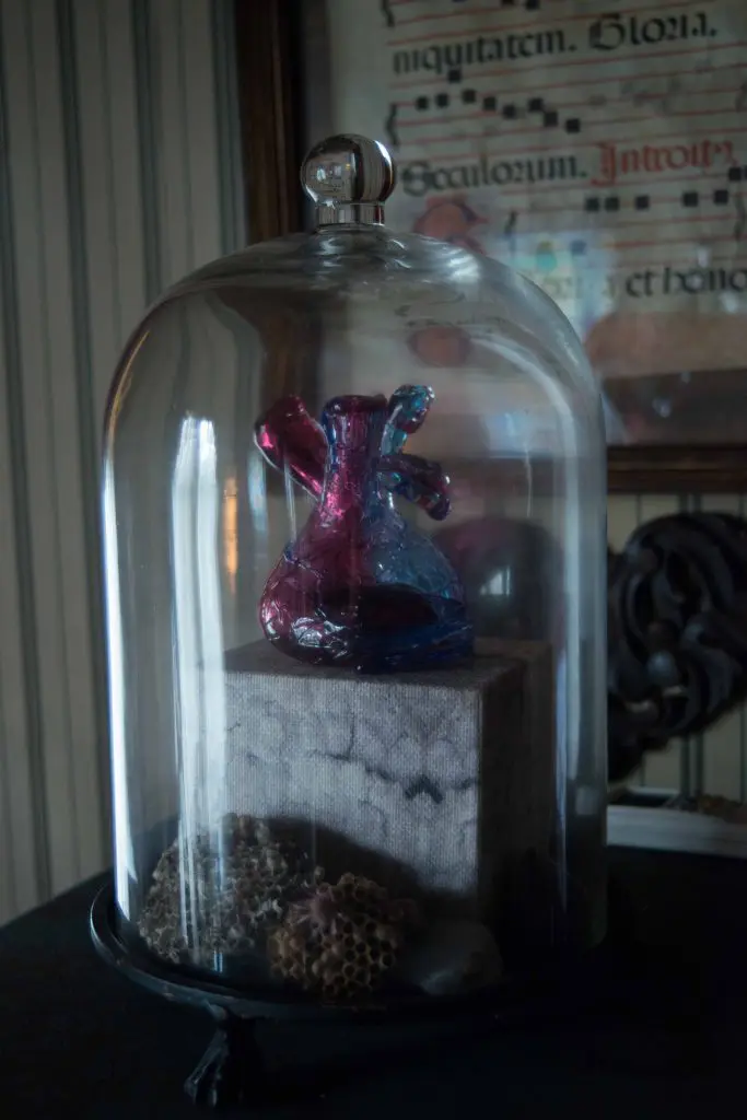 A glass cloche covers found objects. Glass anatomical heart from Grange Hall.