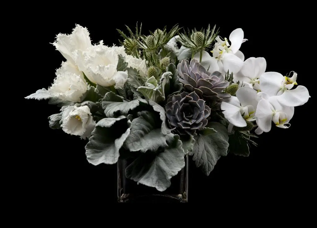 David Brown Flowers 