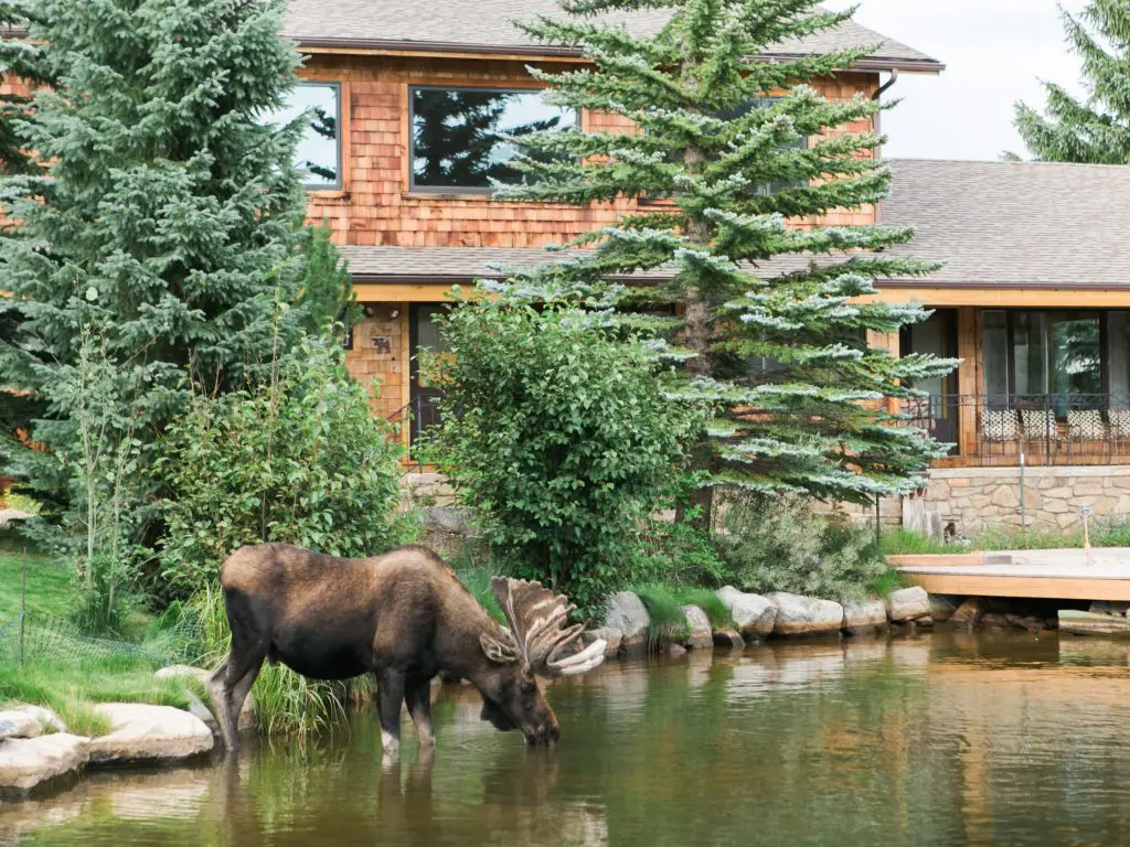 Grand Lake, Colorado (Photo by Rachel Havel)
