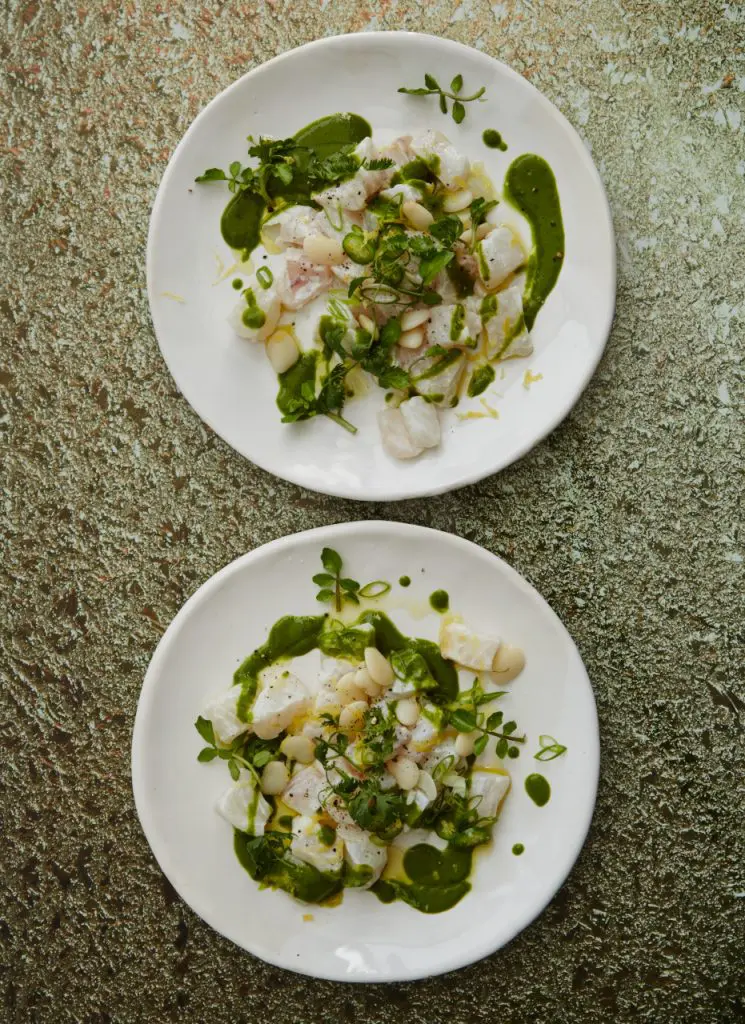 Fluke ceviche