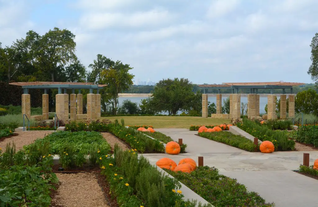 A Tasteful Place edible garden opens at the Dallas Arboretum on Tuesday, October 3.