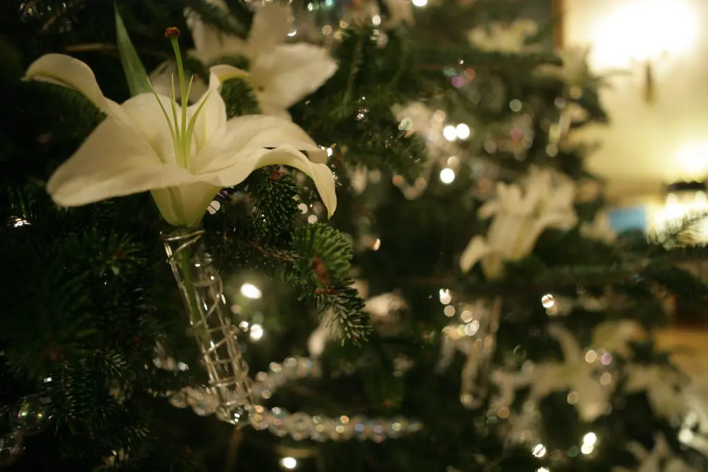Holiday Decorations turn the George W. Bush Presidential Center into a wonderland.