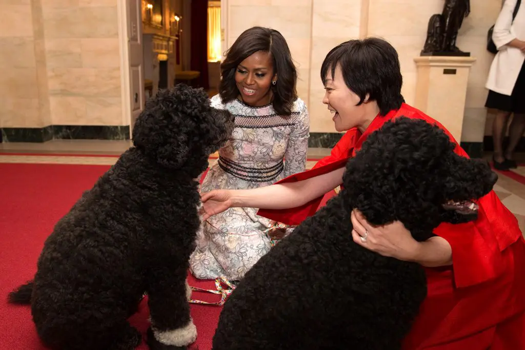 First Lady Michelle Obama and First Lady Akie Abe of Japan are greeted by Bo and Sunny in the Ground Floor Corridor of the White House. (Official White House Photo by Amanda Lucidon)