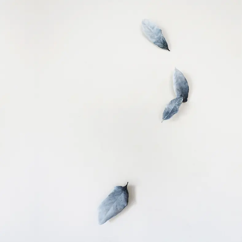 Page Kempner's "Short Fall," 2018 (Courtesy the artist and Moody Gallery)