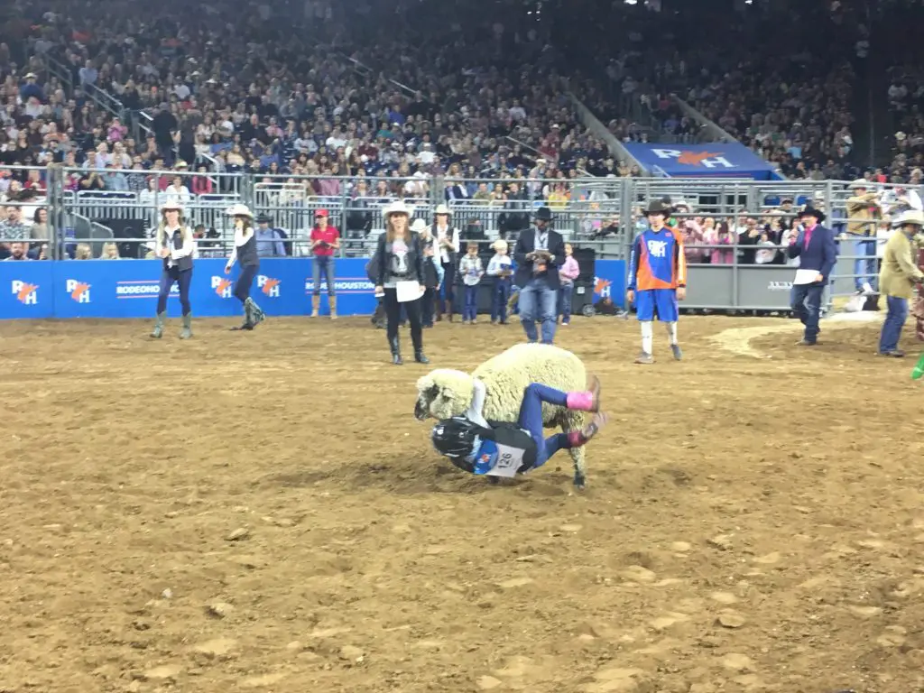 This Mutton Buster's upside down and not giving up yet. 