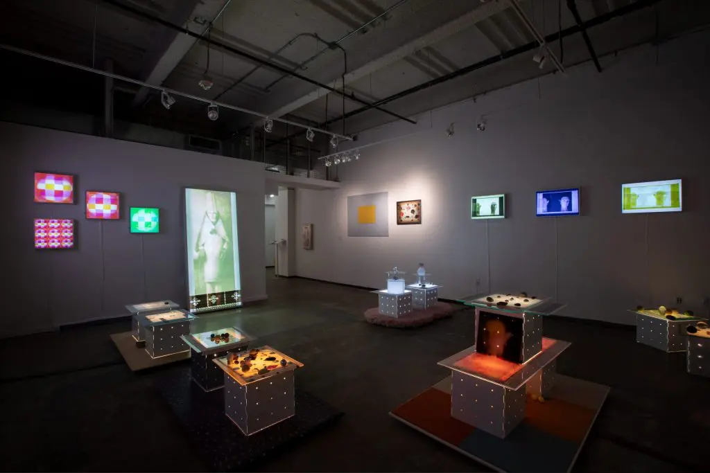 At Bivins Gallery, Mary Hull Webster's light boxes and projections drew curatorial and collector interest for the under-known mid-career talent, who is being rediscovered. 
