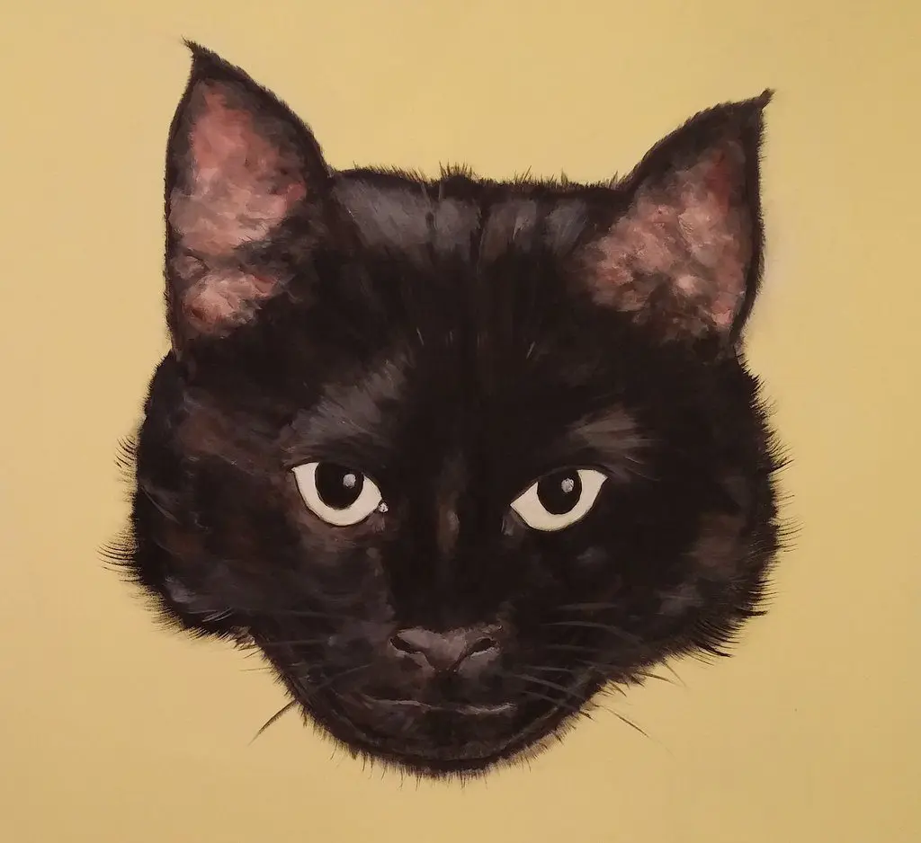 Lily Gavalas imbues her pet portraits with a great sense of humanity. 