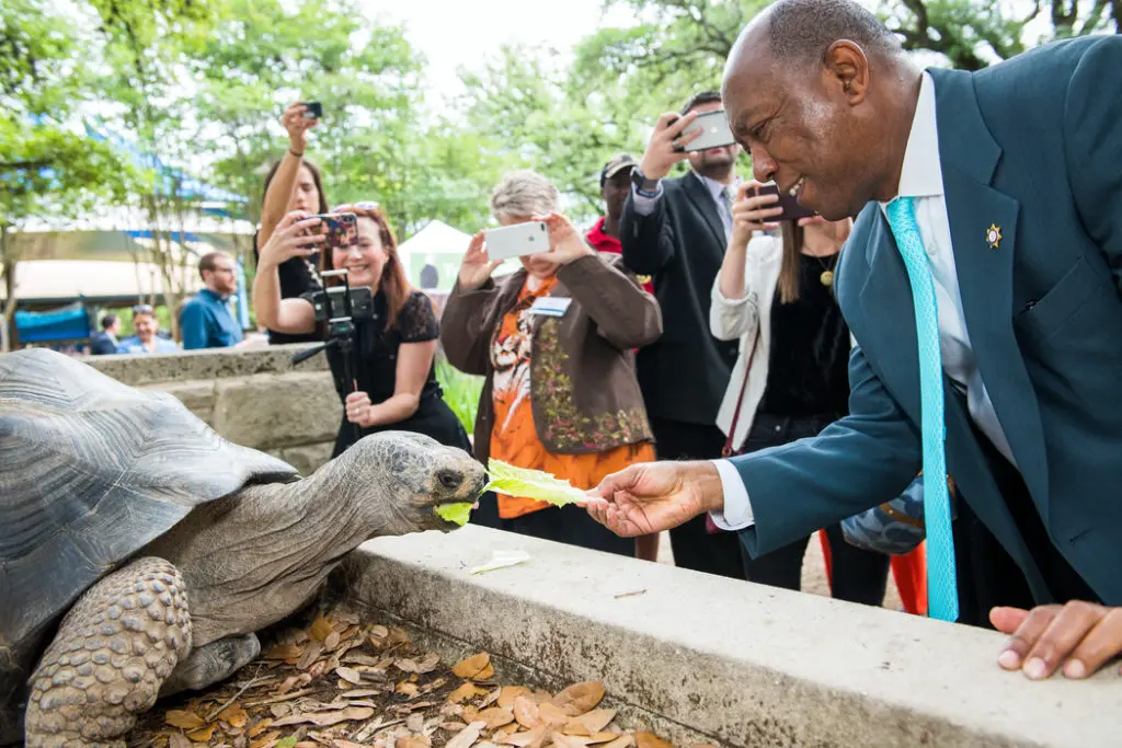 Mammoth, Record $50 Million Gift Gets a Major Houston Zoo Renovation Rolling: $150 Million Campaign Will Remake the Bayou City’s Zoo for the Future