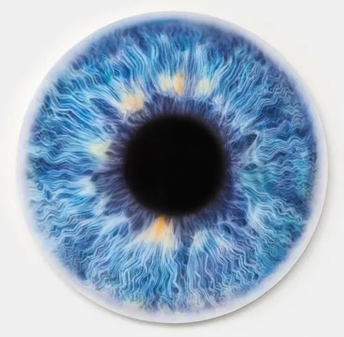 Marc Quinn, piece from "Iris Paintings" collection, sold for $600,000 