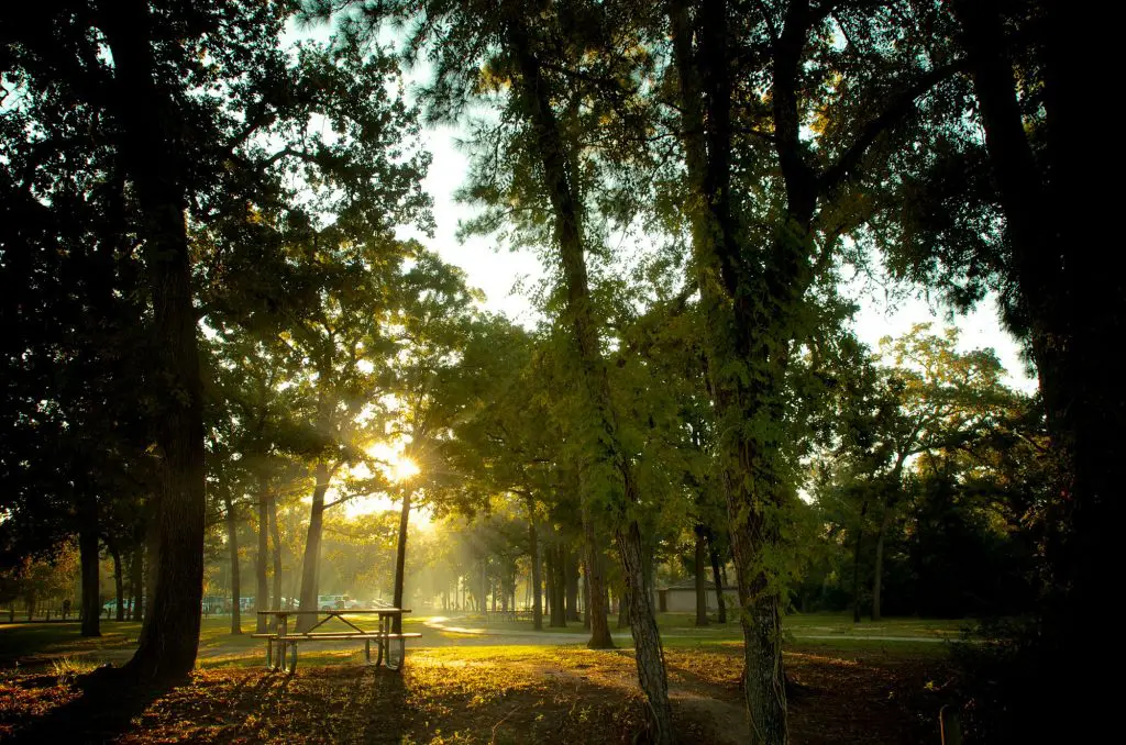 Memorial Park is nearly twice the size of New York's Central Park, and is amidst an ambitious and inspiring master plan to remake one of Houston's most beloved and most used green spaces. The park is also a terrific example of a wellness resource close to home