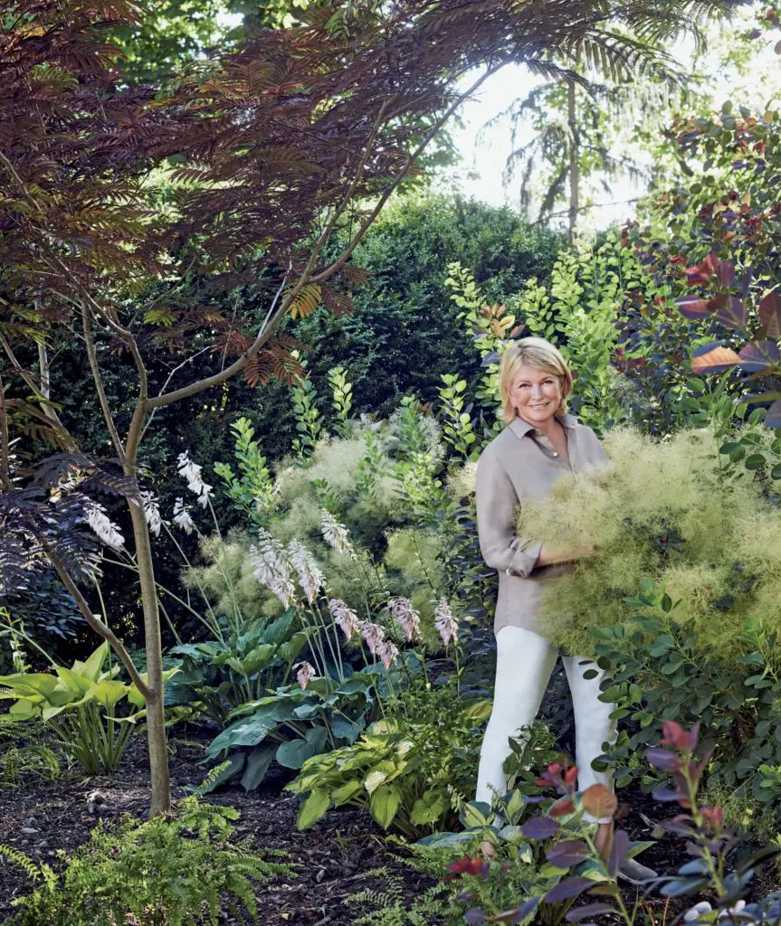 Martha Stewart will speak and sign copies of her new book at the Dallas Arboretum.