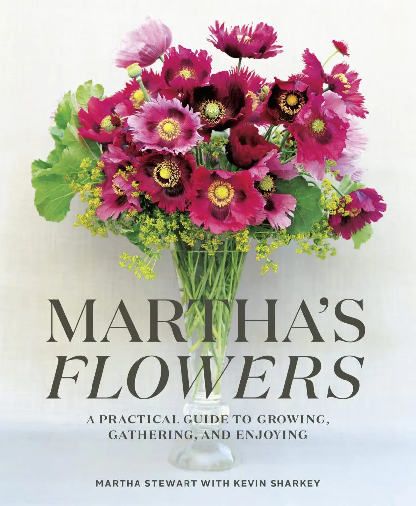 Martha Stewart's new book
