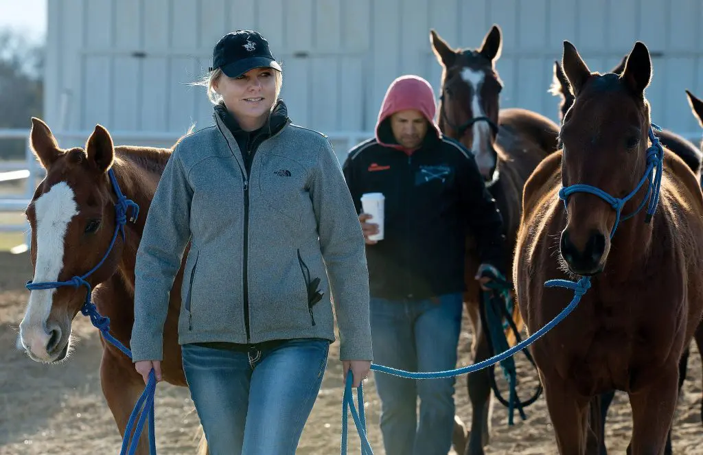 Horses being walked during a recent Legends tournament. Photo by Walter Workman