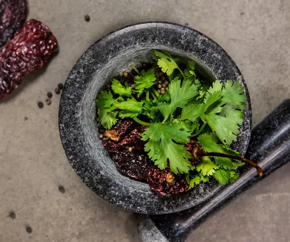 Their signature Sinaloa sauce is made with dried Achiote chilies, peppercorns and Mexican herbs. 