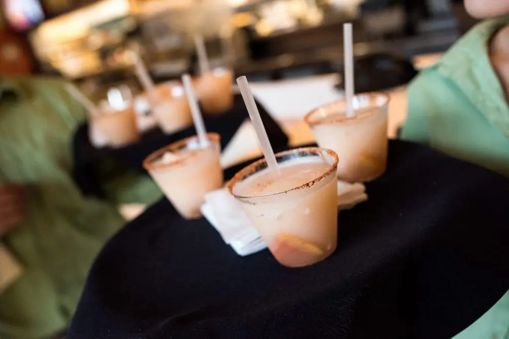 New Frozen Paloma