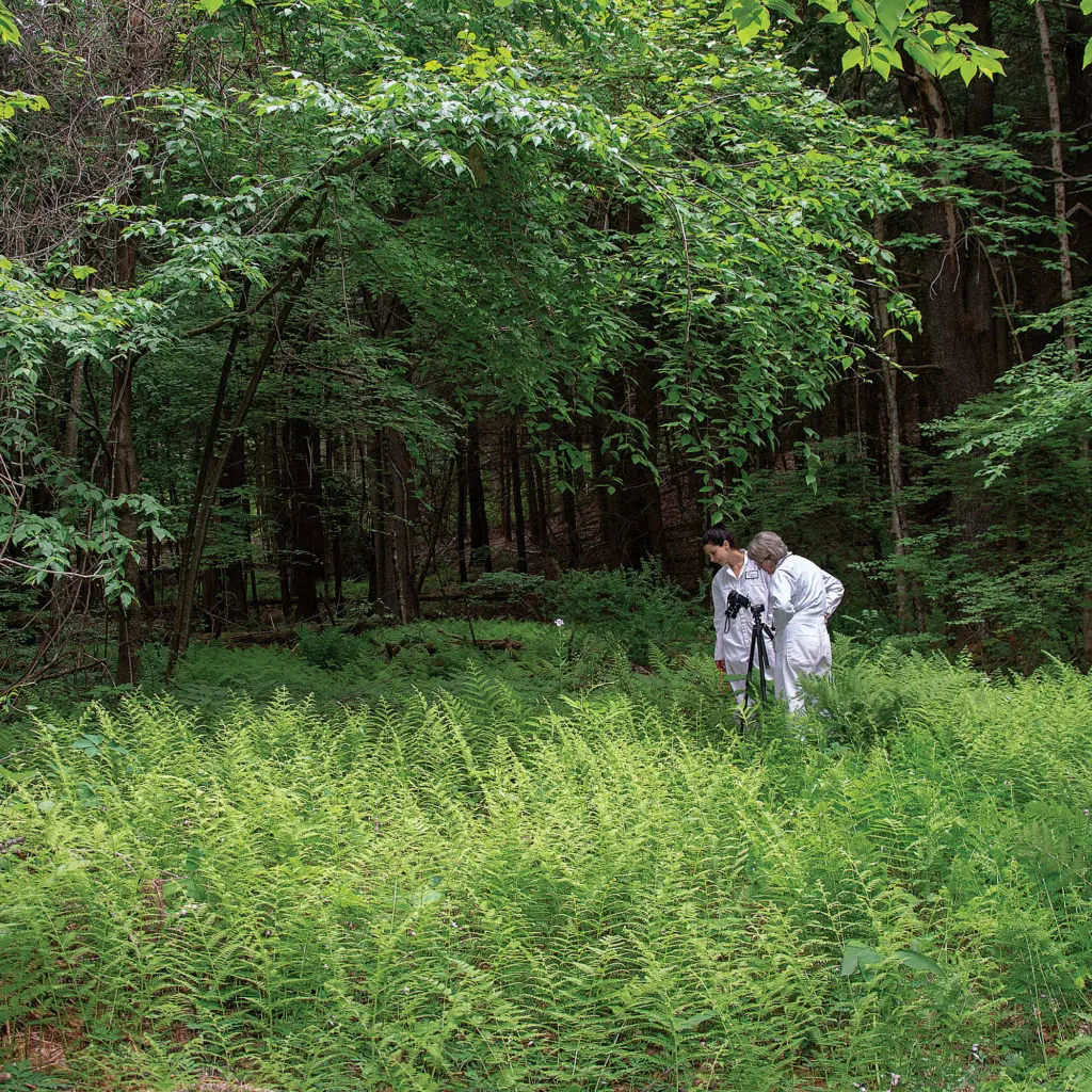 The Cary Institute of Ecosystem Studies, Millbrook, New York (Photo Pamela Freeman)
