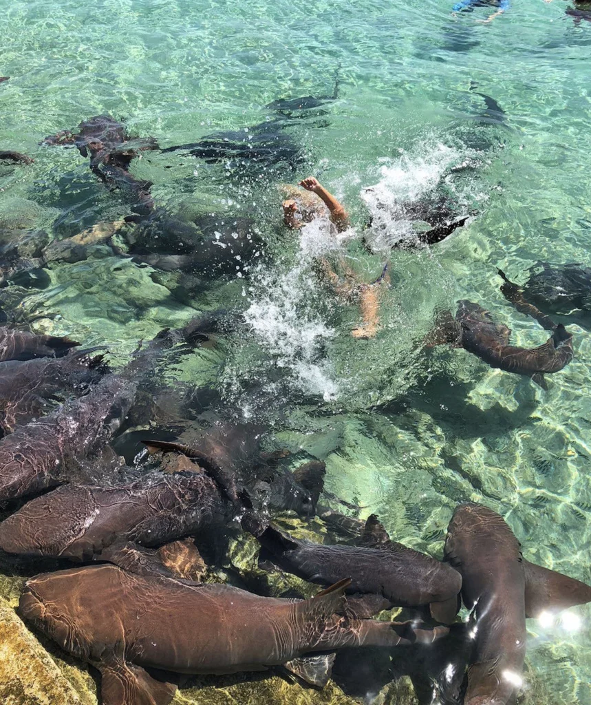 The nurse shark dragged her under. 