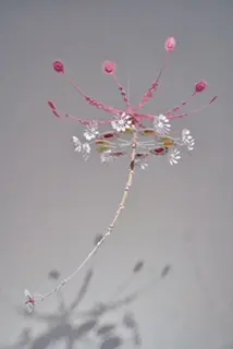 The Cotton Candy tree at Talley Dunn Gallery is part of Kana Harada's arresting installation.
