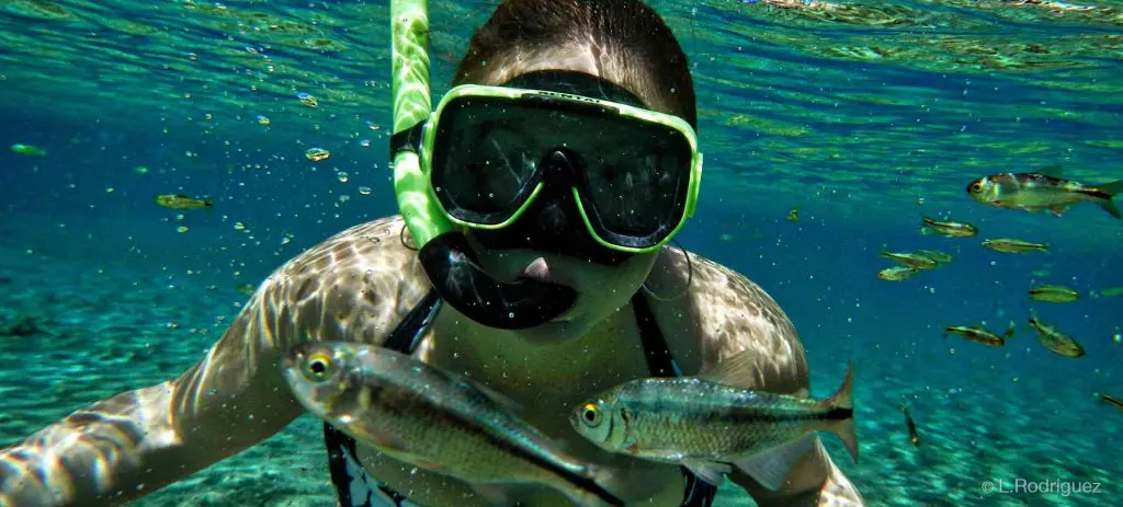 The swimming pool is home to a variety of aquatic life. 