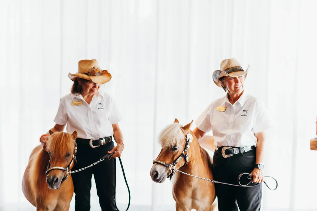 Cisco and Dare are specially trained therapy ponies. 