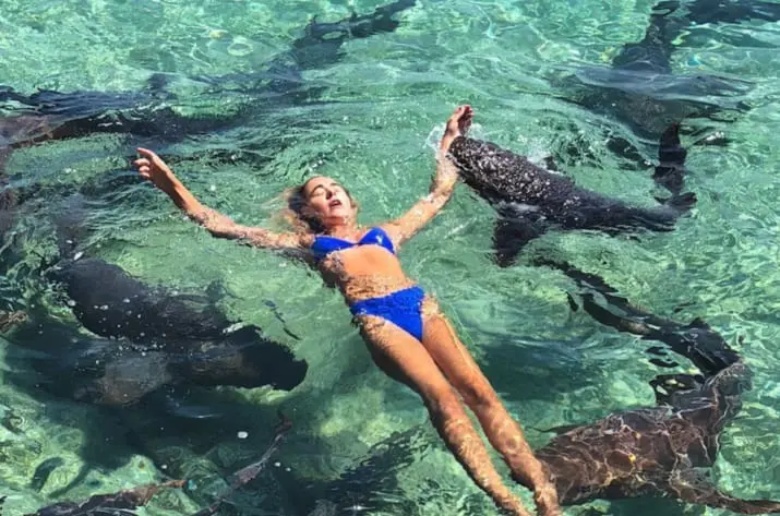 Haters Hound Houston Instagram Model Bitten By a Shark: Young Woman’s Accused of Giving Sharks a Bad Name — All in the Pursuit of a ‘Gram