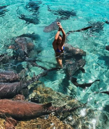 Zarutskie calmly rose up from the water, applying pressure to her wound so she wouldn't attract more sharks' attention. 