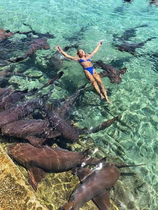 The Instagram model says local men told her it was safe to swim with the nurse sharks. 