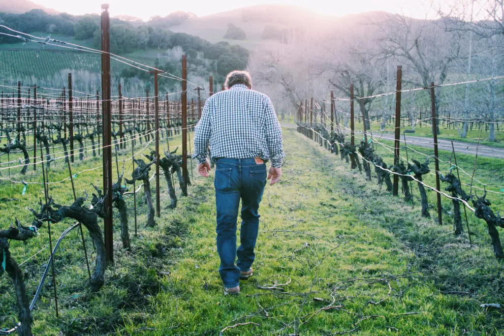 The Perfect Wine to Pair With Hamburgers: This Fascinating Couple Knows That Grapes Needn’t be Fussy