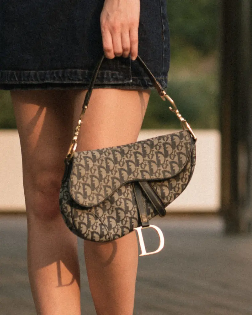 Dior's iconic saddle bag has made a comeback this season. 