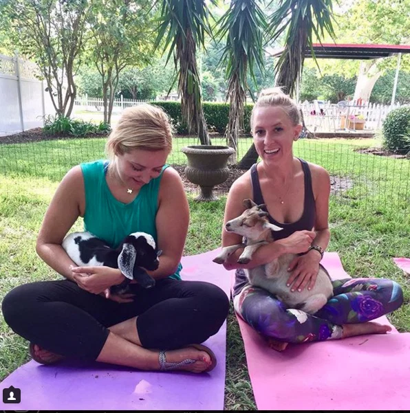 Houston bloggers Natalie and Anastasia Harms are all in for goat yoga — and almost any other H-Town adventure.