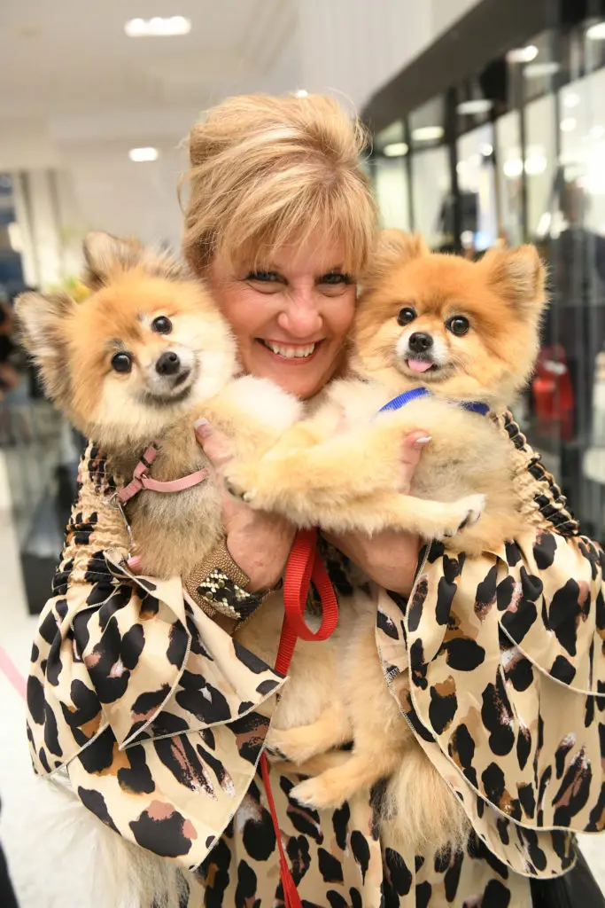 Celebrity Paws Take a Bow in Front of Houston Animal Lovers: And Have You Tried the Salty Chihuahua?