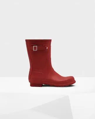 Available on Hunter website