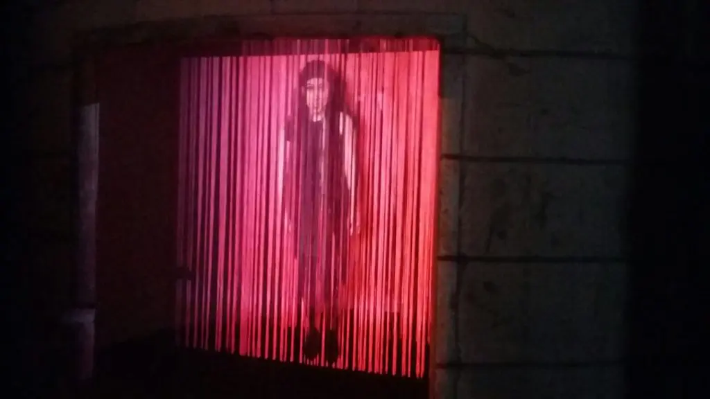 Liss LeFleur impresses with her hypnotic videos at The Silos. 