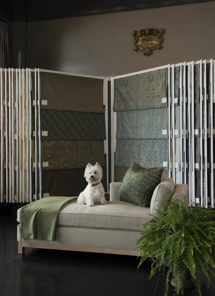 Winning Entry: Retail Design, Wells Abbott Showroom
