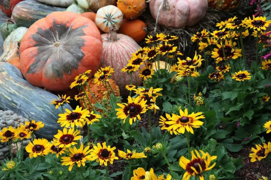 Autumn at the Arboretum is like nothing you've ever seen. 