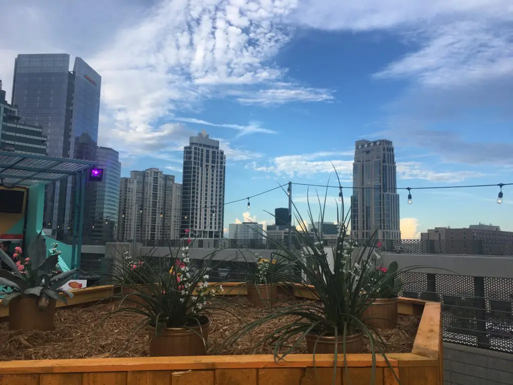 Cacti and succulents give this Rooftop Cinema Club a distinct Texas vibe. 