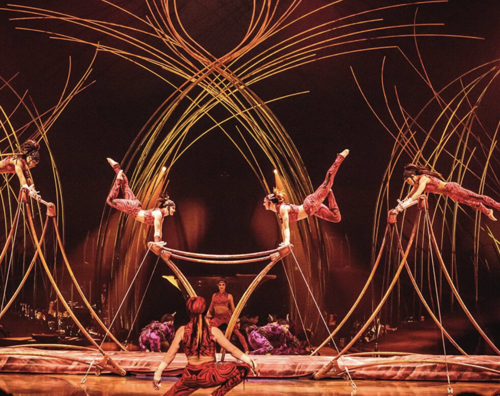 All of the acrobatics involve incredible skill and discipline. 