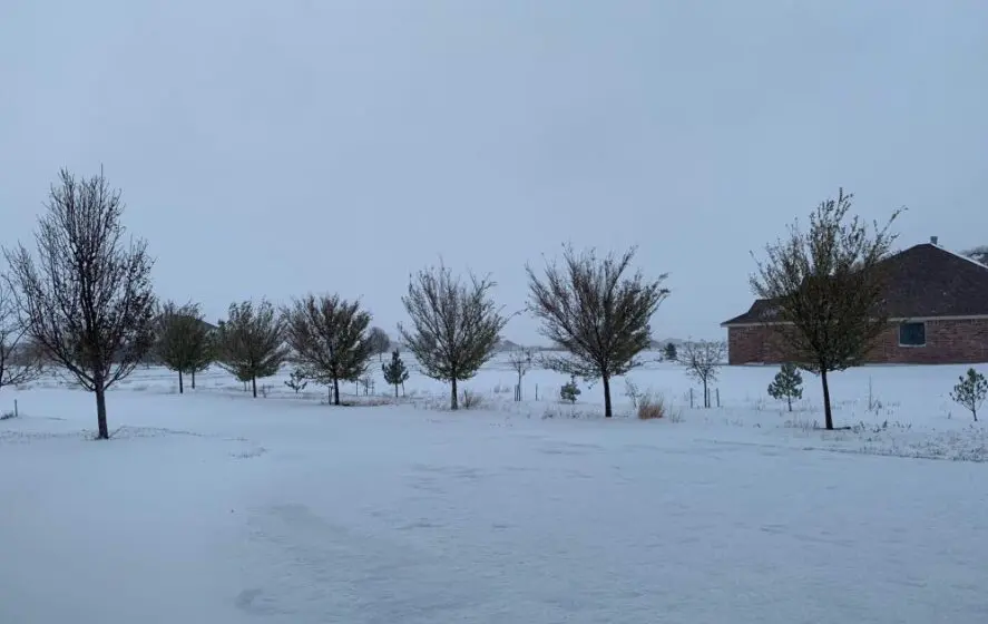 Bushland became a winter wonderland — @QingwuXue
