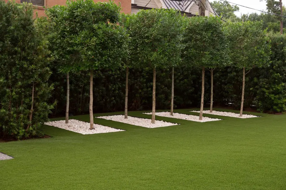 To continue with an all white design and give the landscape some texture, eagleston holly trees were added over a bed of white pebbles.