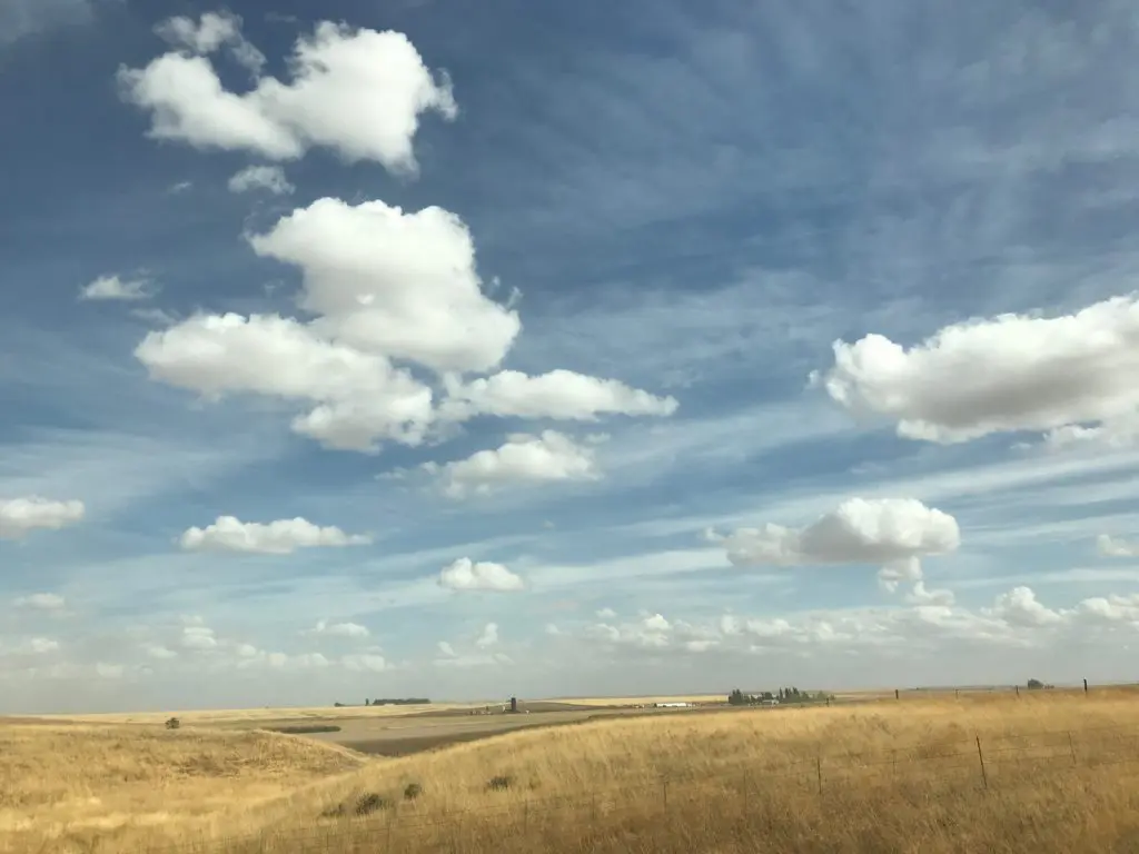 Amber waves of grain on artist Mary Margaret Hansen's road trip in search of America — and her family's Canadian roots.