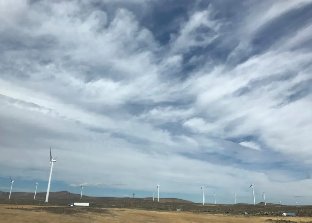 Wind farms in western Washington state reminded me of Texas.