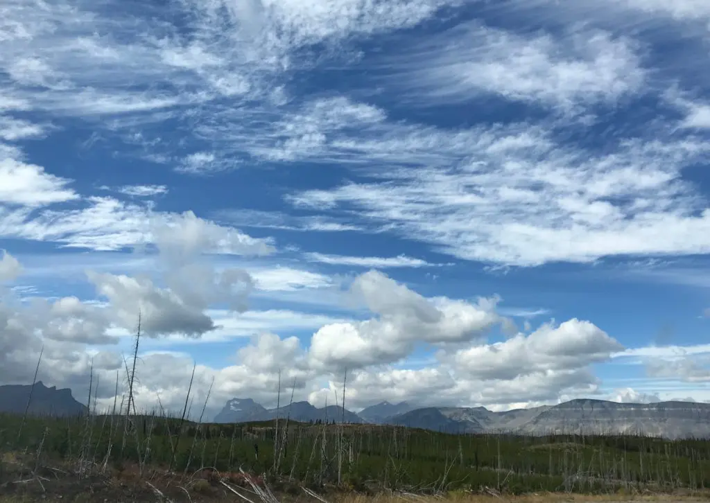 Environmental danger: After a forest fire in Glacier National Park.