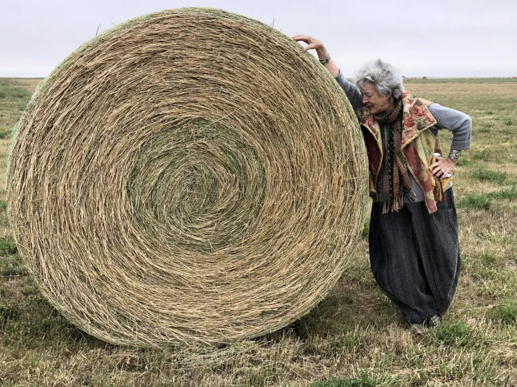 The author, Mary Margaret Hansen, gauging the size of the bale in northern Montana.
